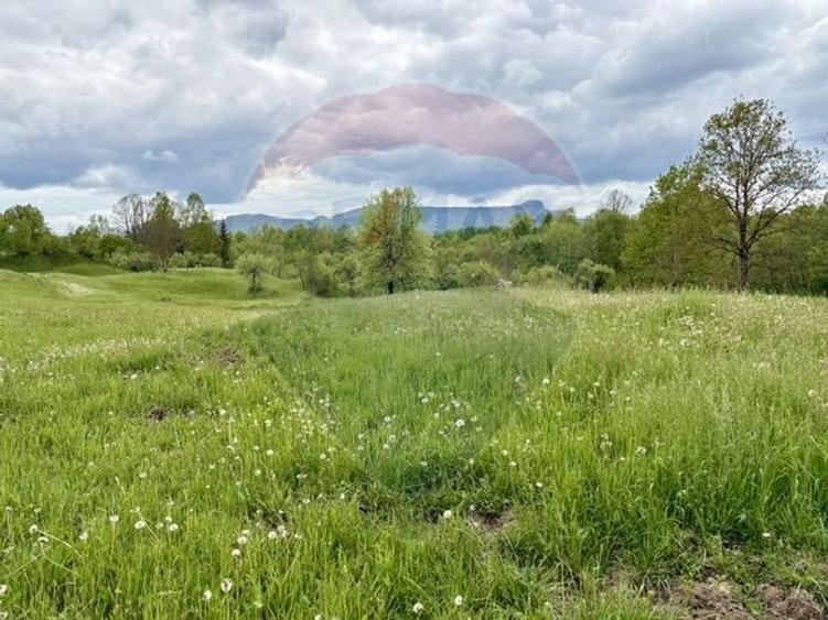 Teren agricol extravilan de 20876 mp, în Breb