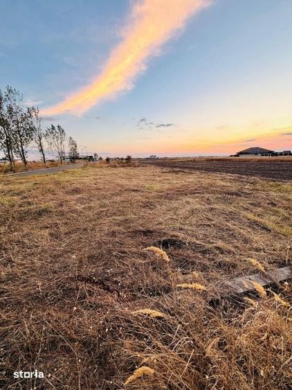 Tere intravilan, 375 mp, zona Pielesti - 1