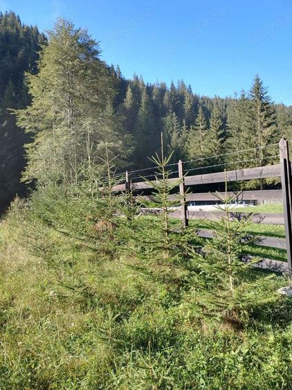 Teren de 3800 mp, în Capu Corbului