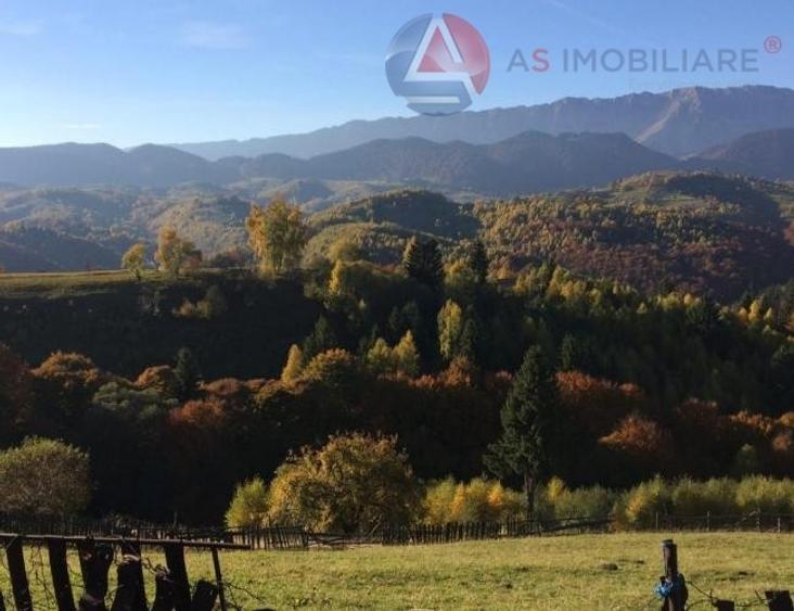 Teren intravilan de 10669 mp, în Moieciu de Jos