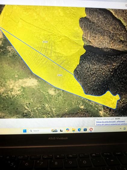 Teren de 780000 mp, în Padeș