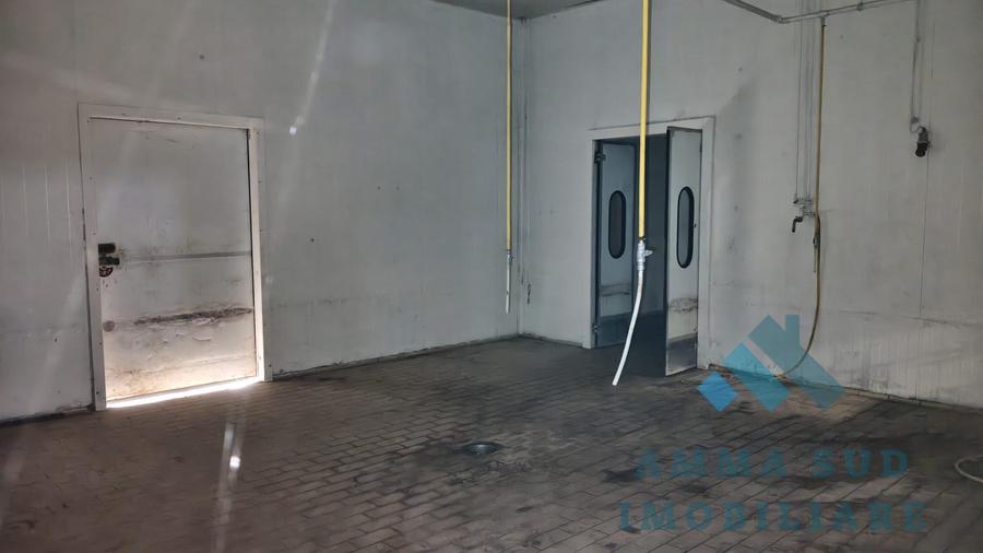 Spațiu industrial, de 1,000 mp, în Popești-Leordeni