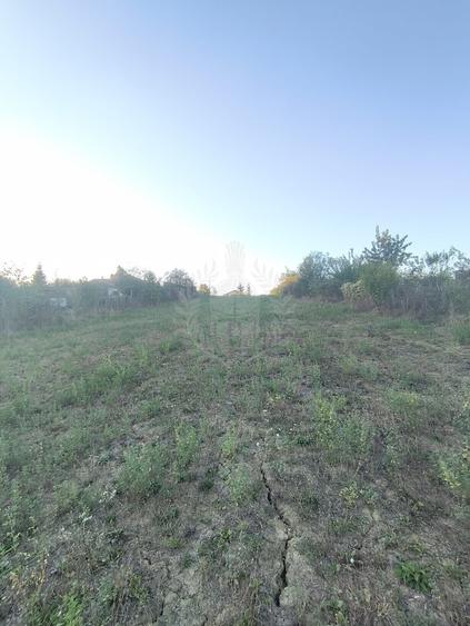 Teren Construcții intravilan de 3017 mp, în Plopu