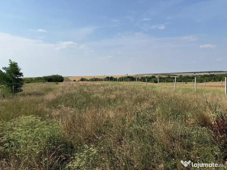 Teren intravilan Miersig, vedere la lac. 12,5 E/mp neg. C... - 5