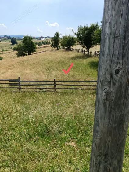 Teren de 5630 mp, în Măguri-Răcătău