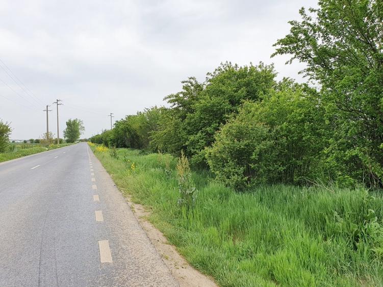 Teren agricol extravilan de 2672 mp, în Vidra