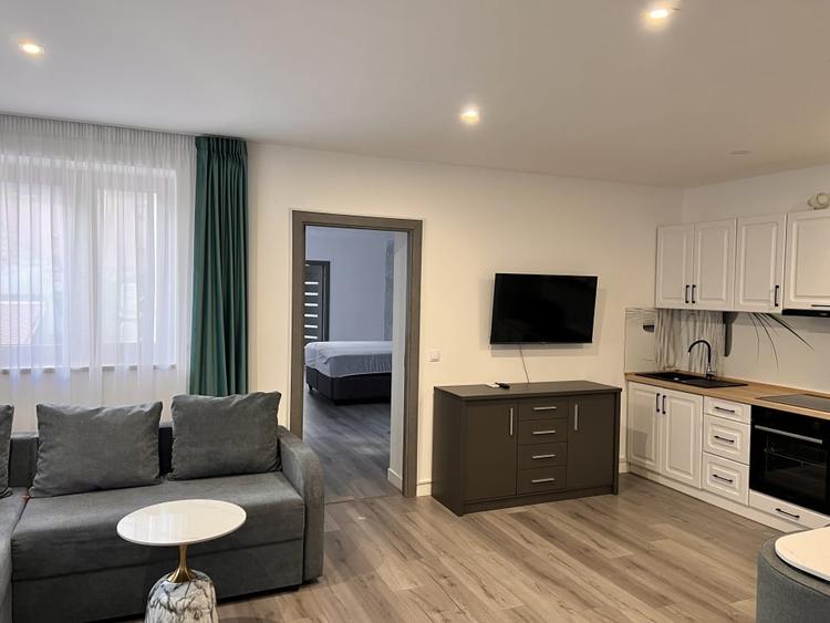 Apartament cu 2 camere nedecomandat în Ultracentral