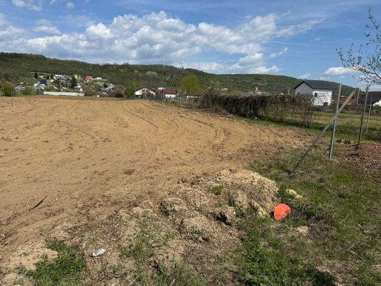 Teren de 9287 mp, în Valea Mare