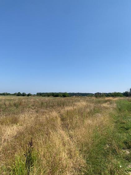 Teren Construcții intravilan de 4250 mp, în Snagov