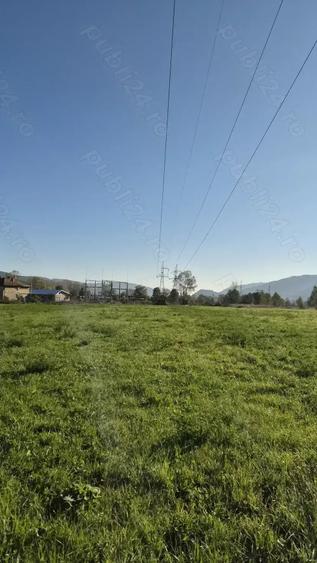 Teren de 3863 mp, în Vad