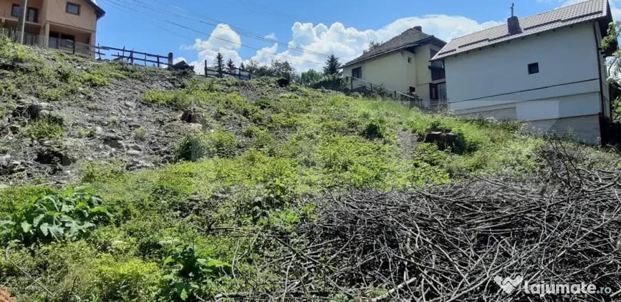 Teren de 500 mp, în Central