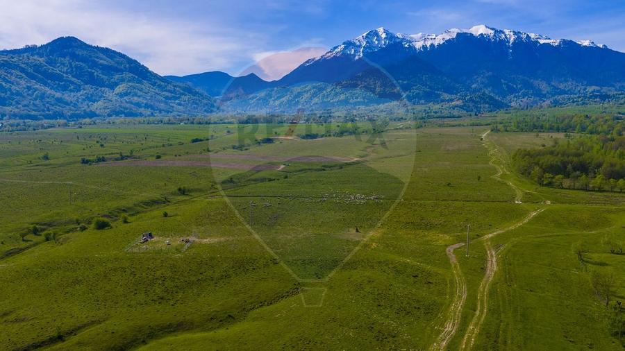 Teren agricol extravilan de 10000 mp, în Glăjărie