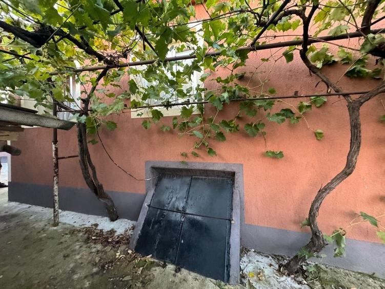Casă cu 4 camere în Vasile Alecsandri
