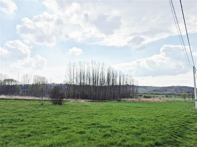 Teren agricol extravilan de 5132 mp, în Nord