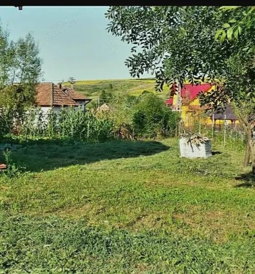 Casă cu Teren 1000 Mp în Central