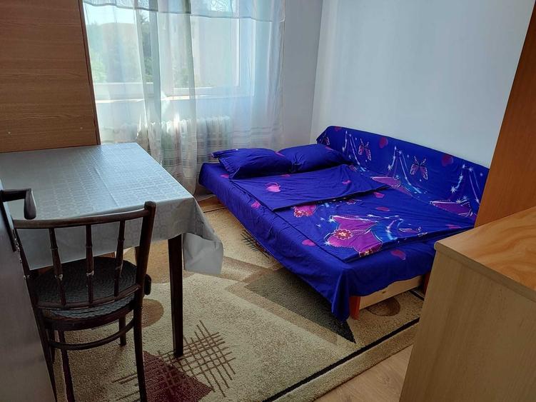 Apartament cu 2 camere semidecomandat în Dosu Bricii