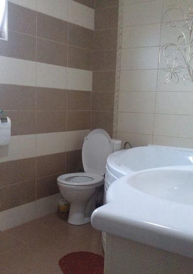 Casă cu 4 camere în Vișan