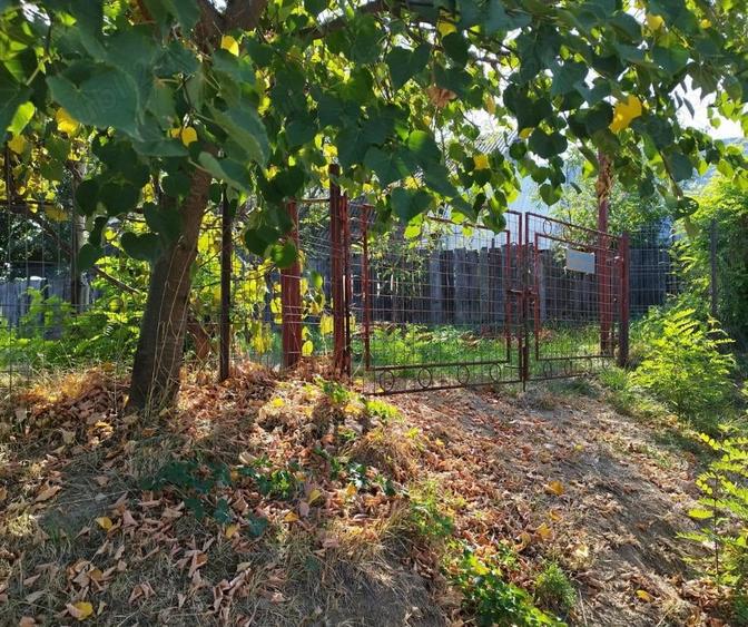 Teren de 1700 mp, în Fălticeni