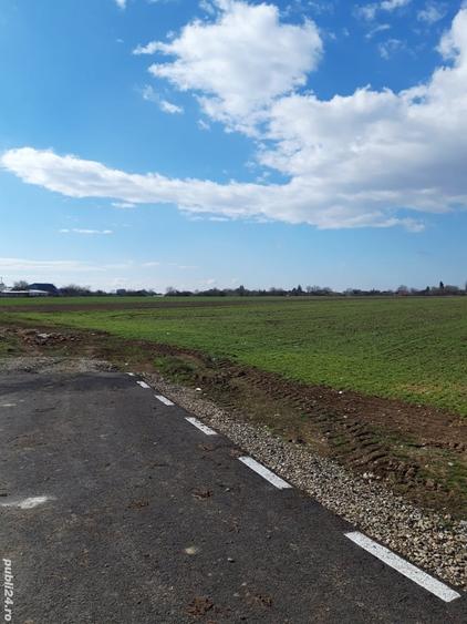 Teren de 4000 mp, în Tâncăbești