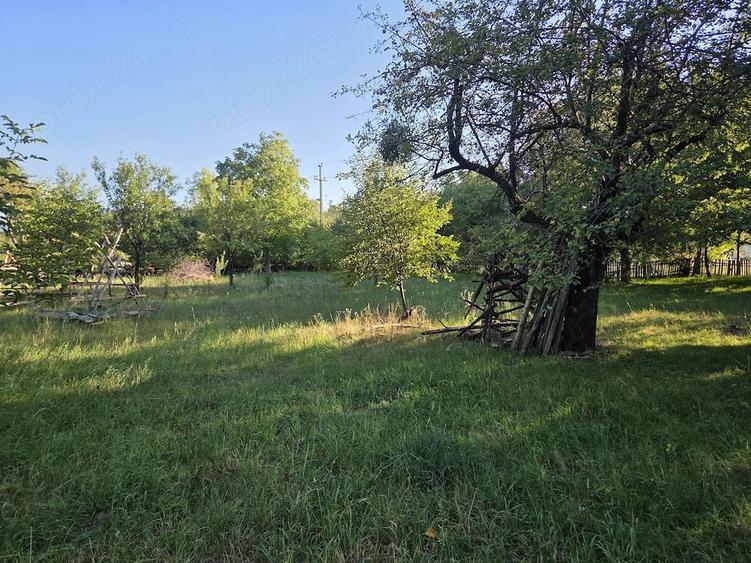 Casă cu Teren 3435 Mp în Josenii Bârgăului