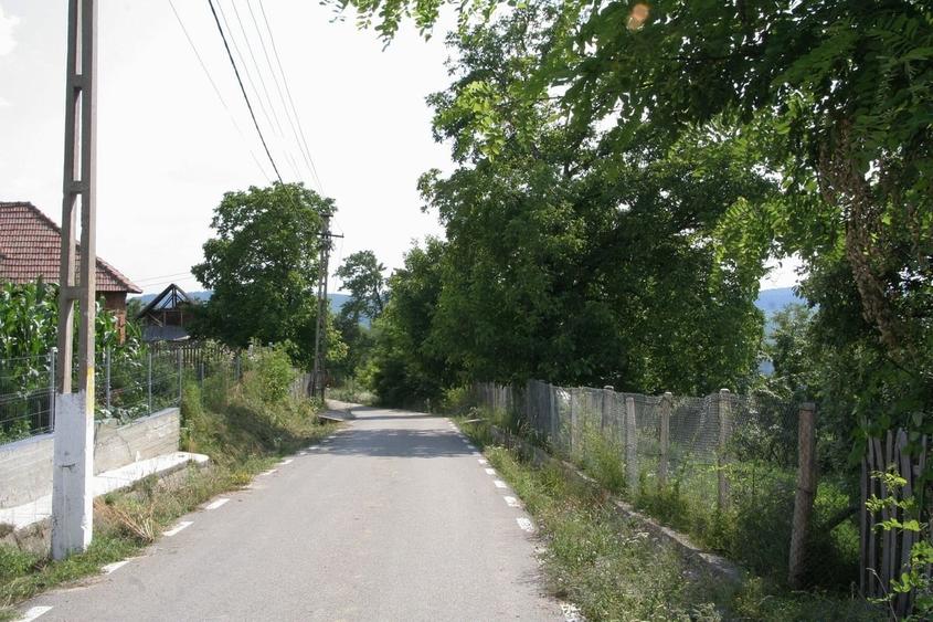 Teren în Pruni