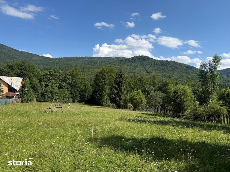 Teren intravilan 1662 mp pozitie superba-Calea Brasovului Valea Neagra - 1