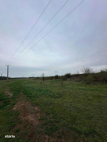 Teren de 5000 mp, în Bănești