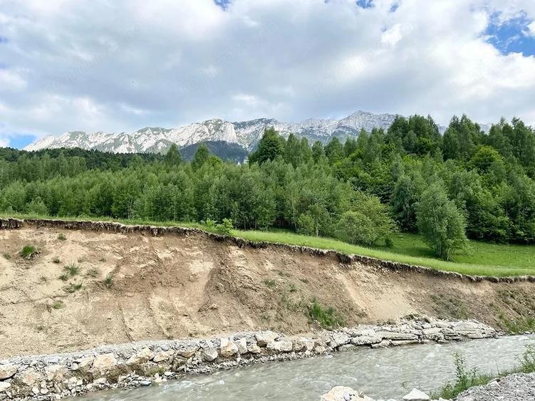 Teren de 12150 mp, în Plaiul Foii