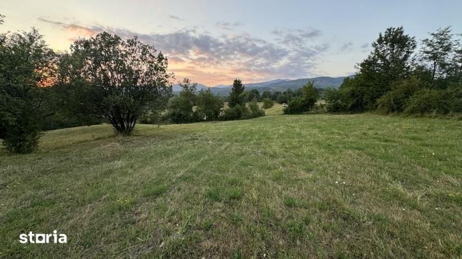Teren de 5900 mp, în Baia de Fier