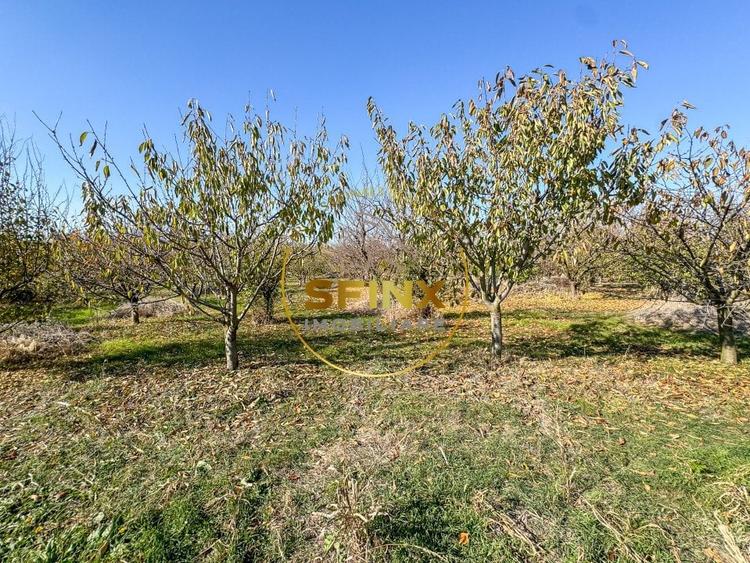 Spațiu industrial, de 1,111 mp, în Fântâna Doamnei