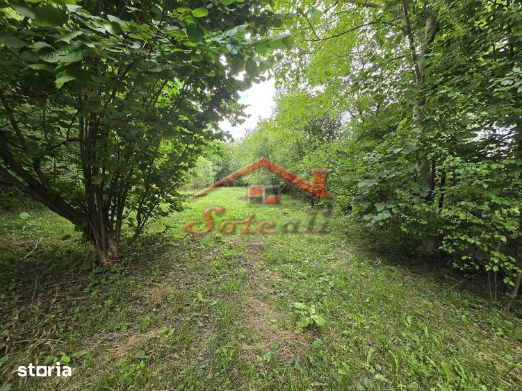 Teren intravilan de vanzare in Cornu de Sus 1.363 mp fara inclinatie - 5
