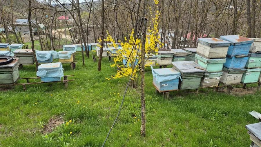 Casă cu 4 camere cu Teren 1500 Mp în Șendrești
