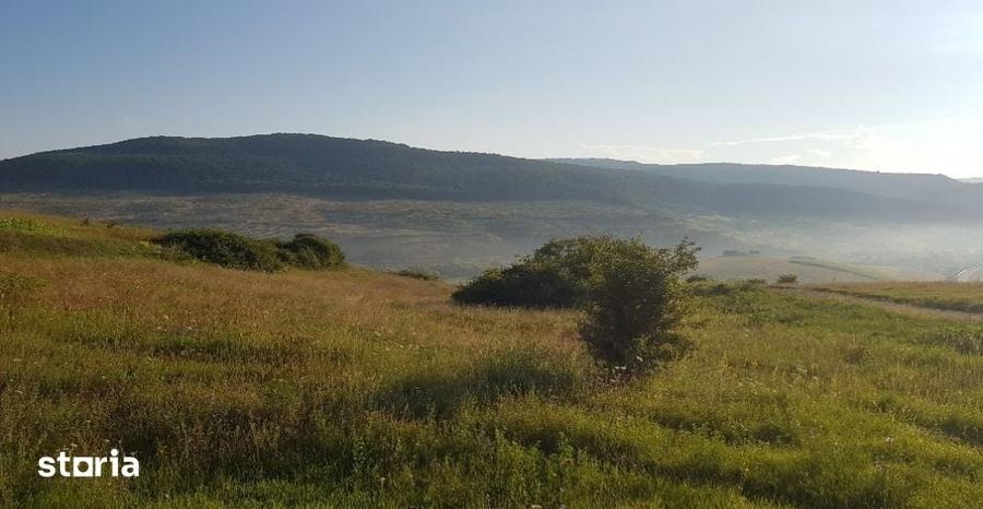 Teren intravilan 1000 mp, cu PUZ, zona platoului Radaia - 4