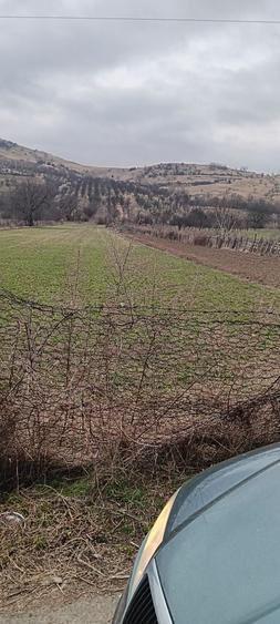 Teren de 5500 mp, în Chiojdu