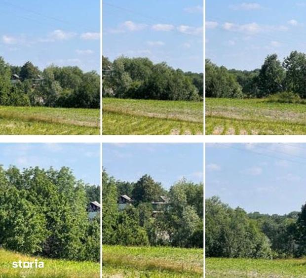 Teren de 1800 mp, în Zvoriștea