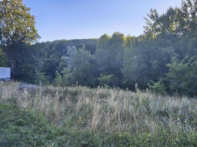 Teren agricol intravilan de 1000 mp, în Cisnădioara