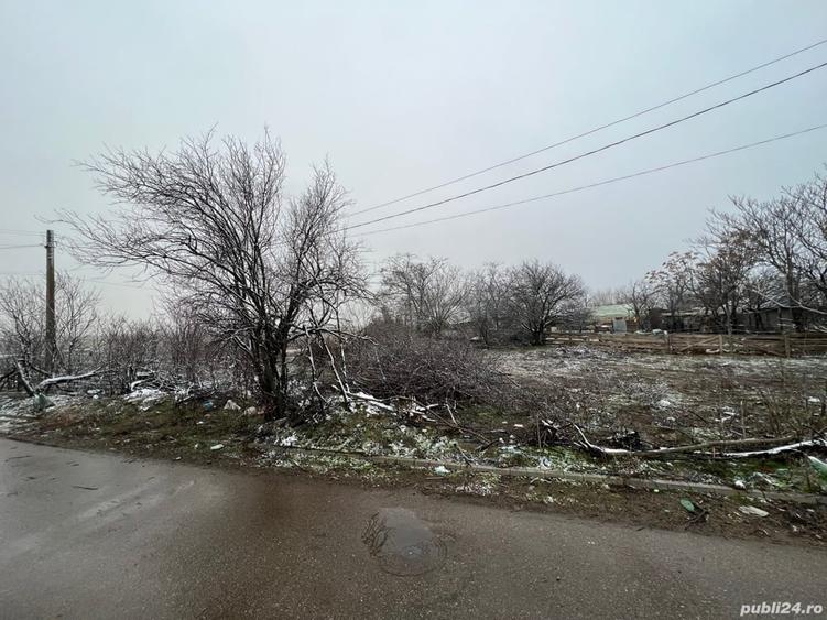 Teren de 1600 mp, în Sălcioara