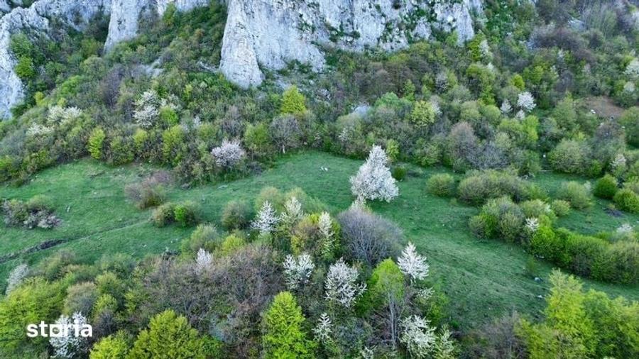 Teren de 35000 mp, în Ciuruleasa
