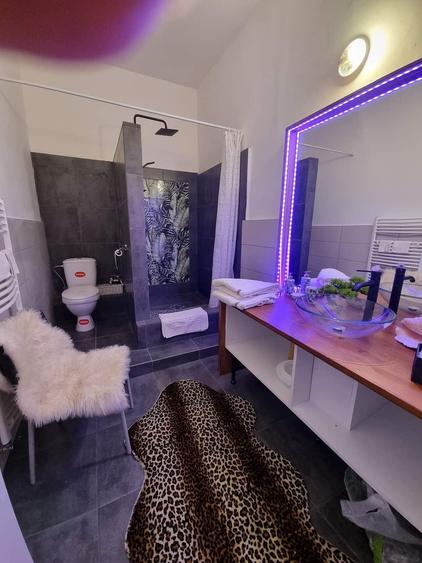 Casă cu 3 camere cu Teren 1000 Mp în Gruia