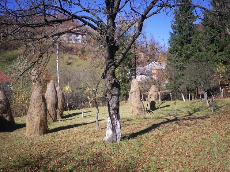 Casă cu 2 camere cu Teren 1742 Mp în Central