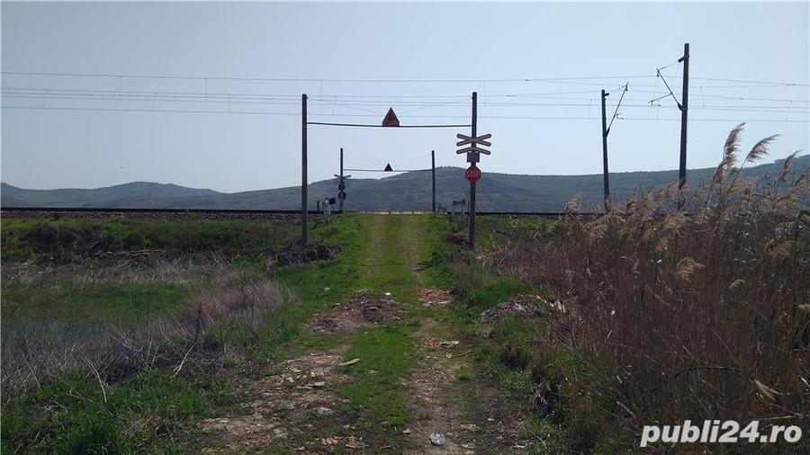Teren de 5800 mp, în Central