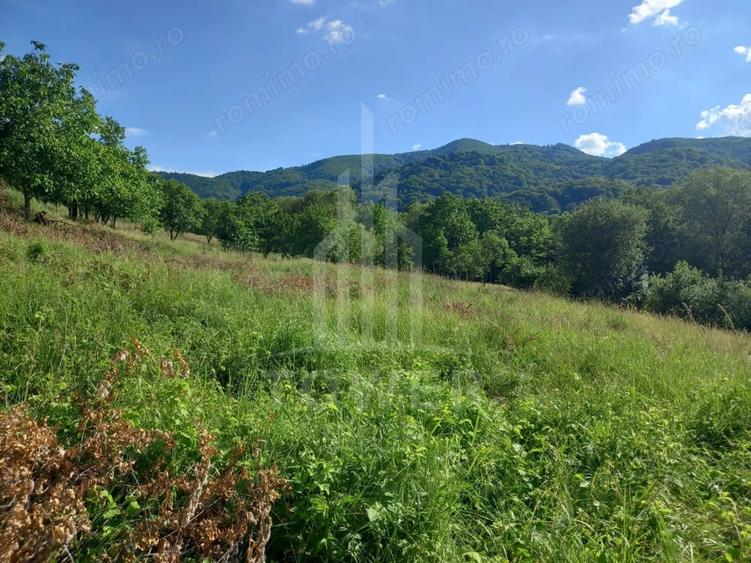 Teren de 3673 mp, în Fântânele