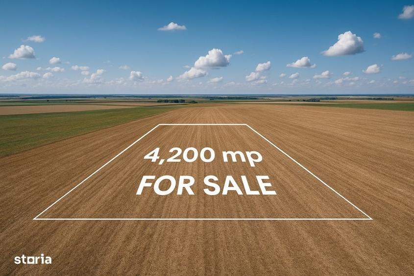 Spațiu comercial, în Daia Română