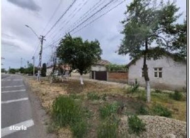 Cota de 1/2 din Casa si teren loc. Macea, jud. Arad - 5