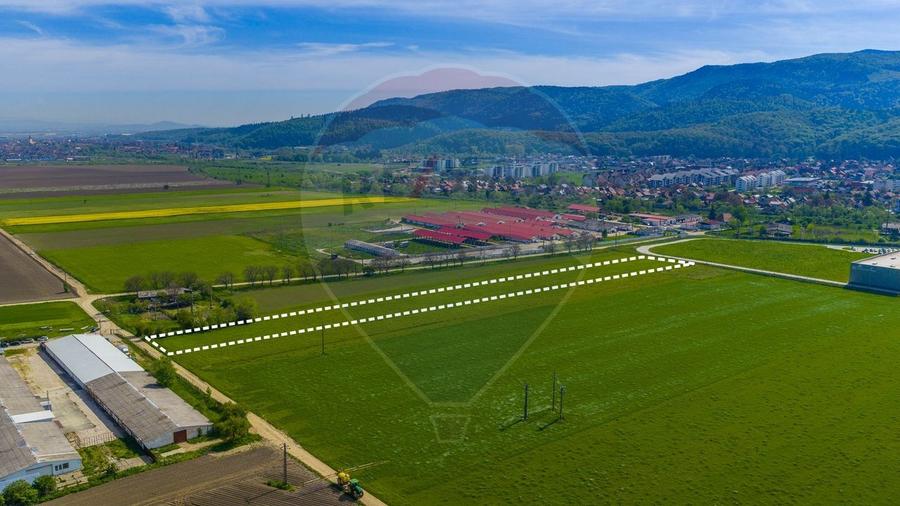 Teren agricol extravilan de 5009 mp, în ISR