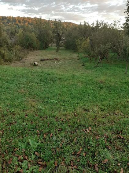 Casă cu Teren 3200 Mp în Central