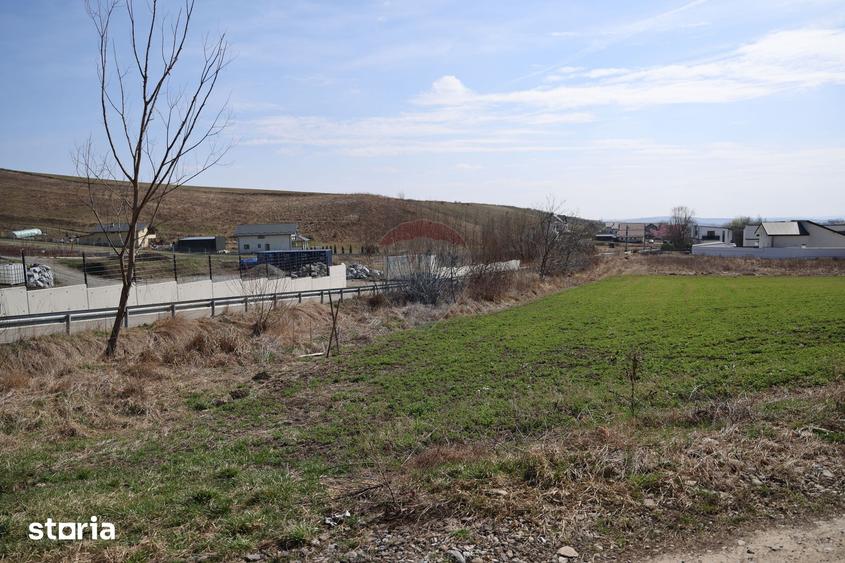 Teren de 3500 mp, în Moara
