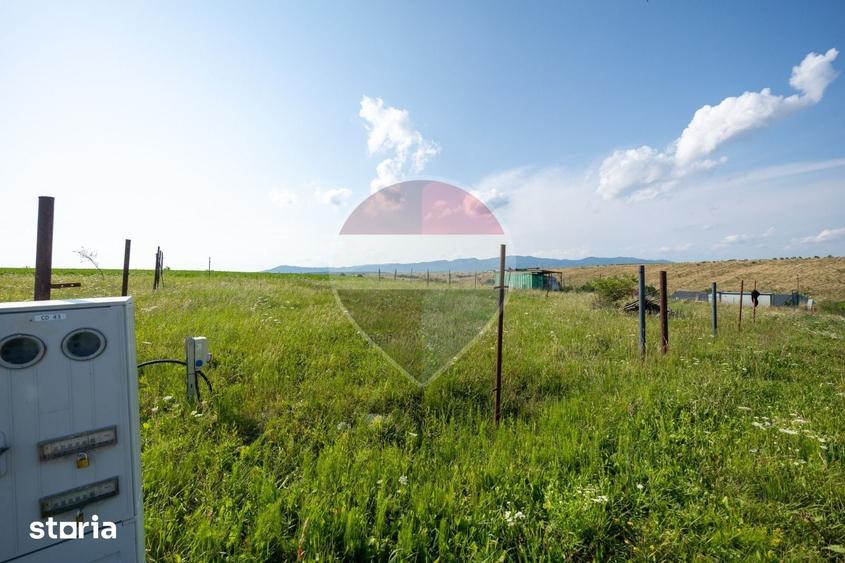 Teren de 1100 mp, în Județean