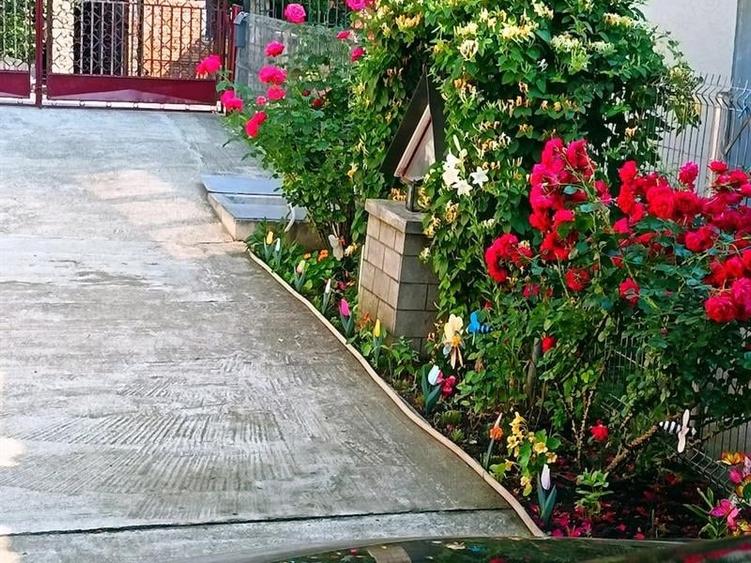 Casă individuală cu 2 camere cu Teren 380 Mp în Central