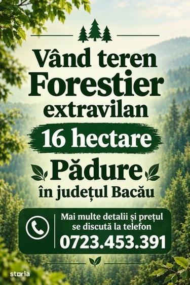 Teren de 160000 mp, în Central